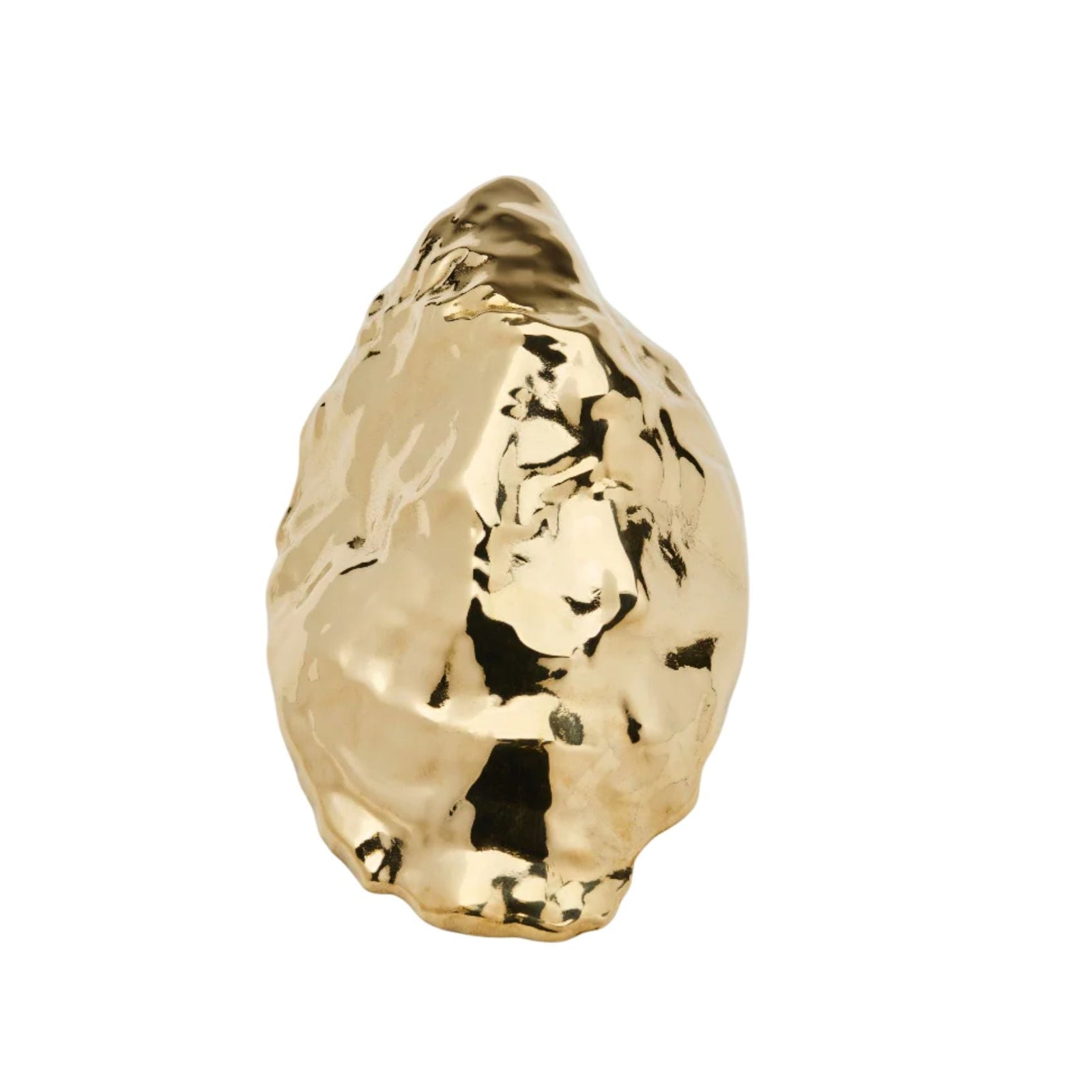 Oyster Bottle Opener Eleish Van Breems Home