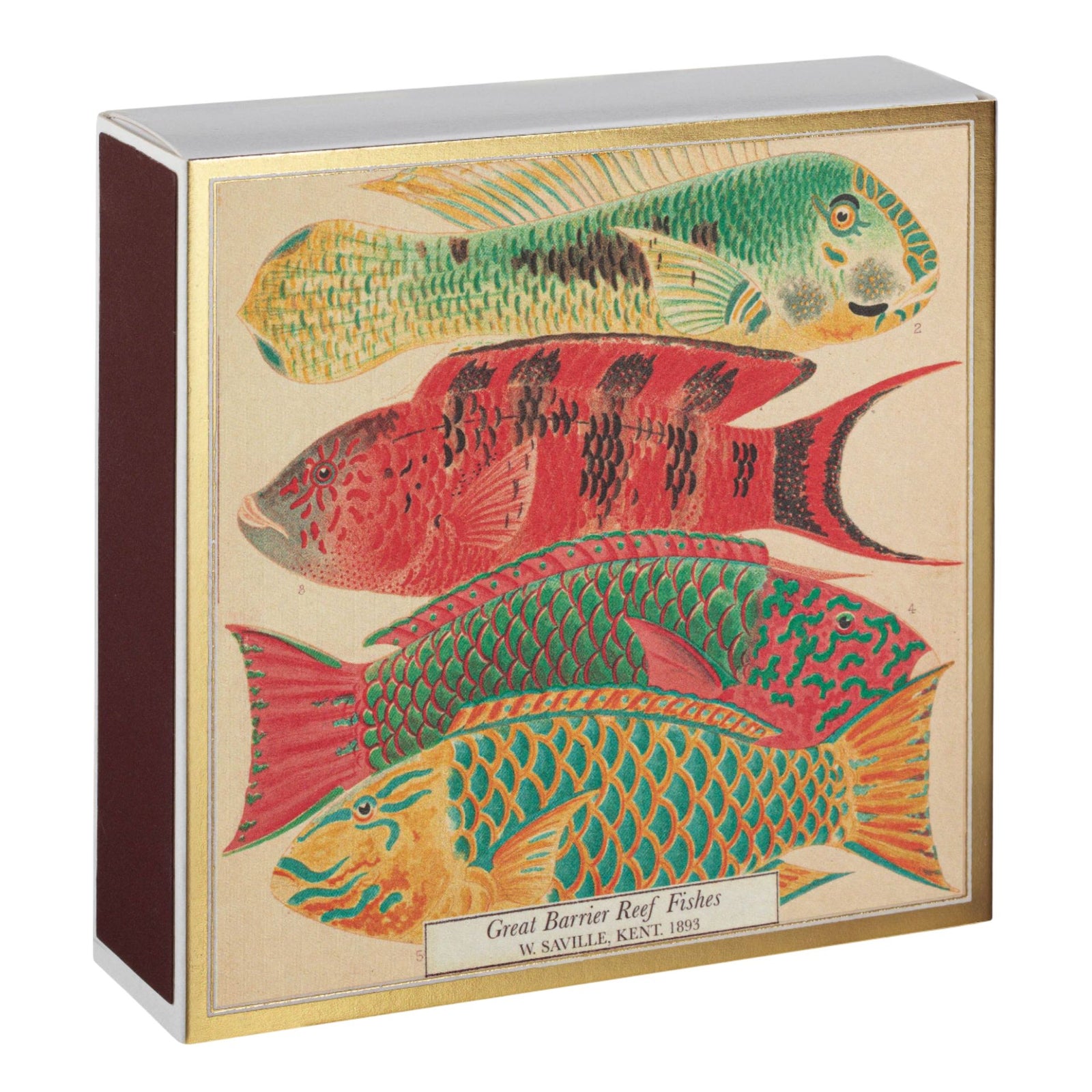 Natural History Museum Fish | Square - Safety Matches Eleish Van Breems Home