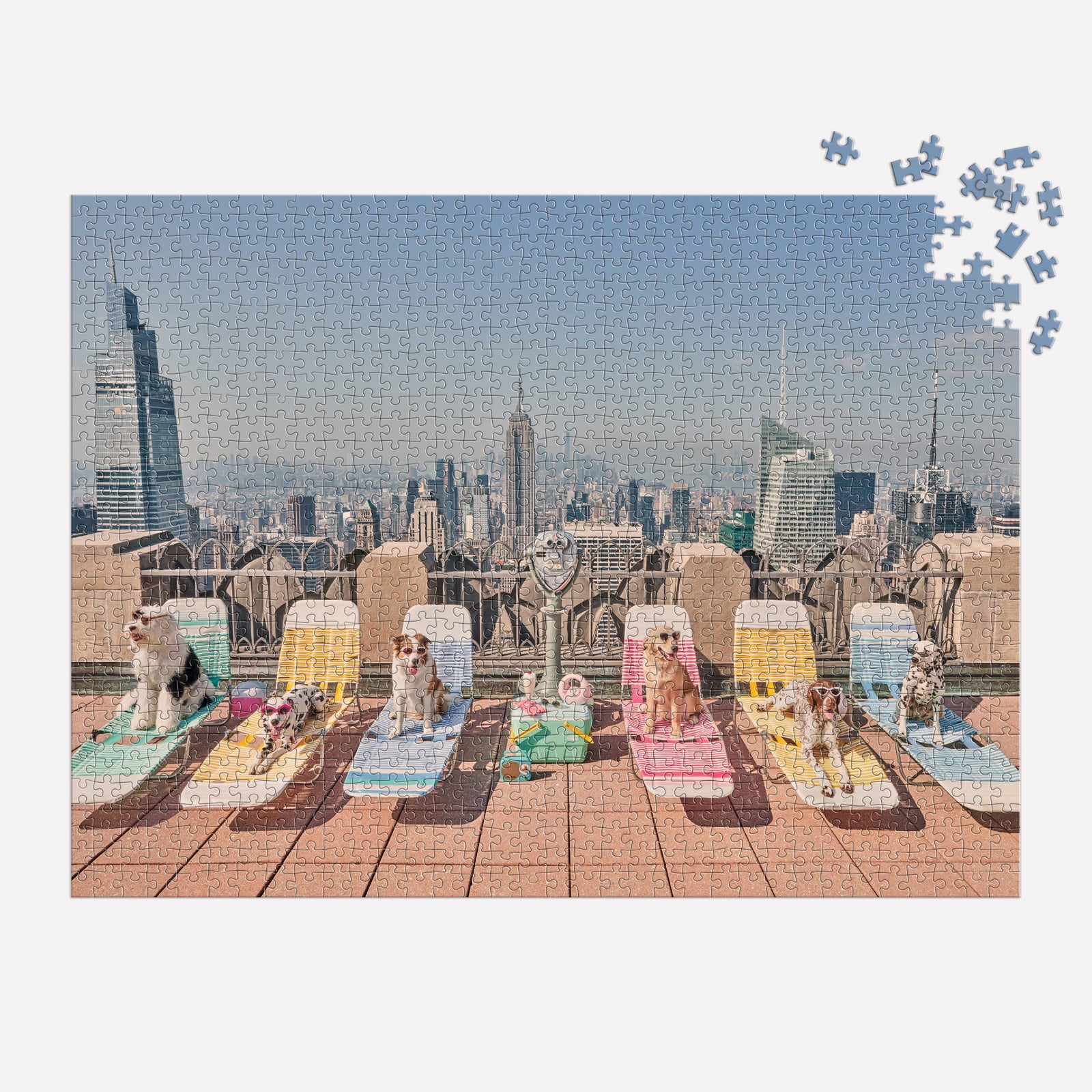 Gray Malin The Dogs of New York City 1000 Piece Puzzle Eleish Van Breems Home