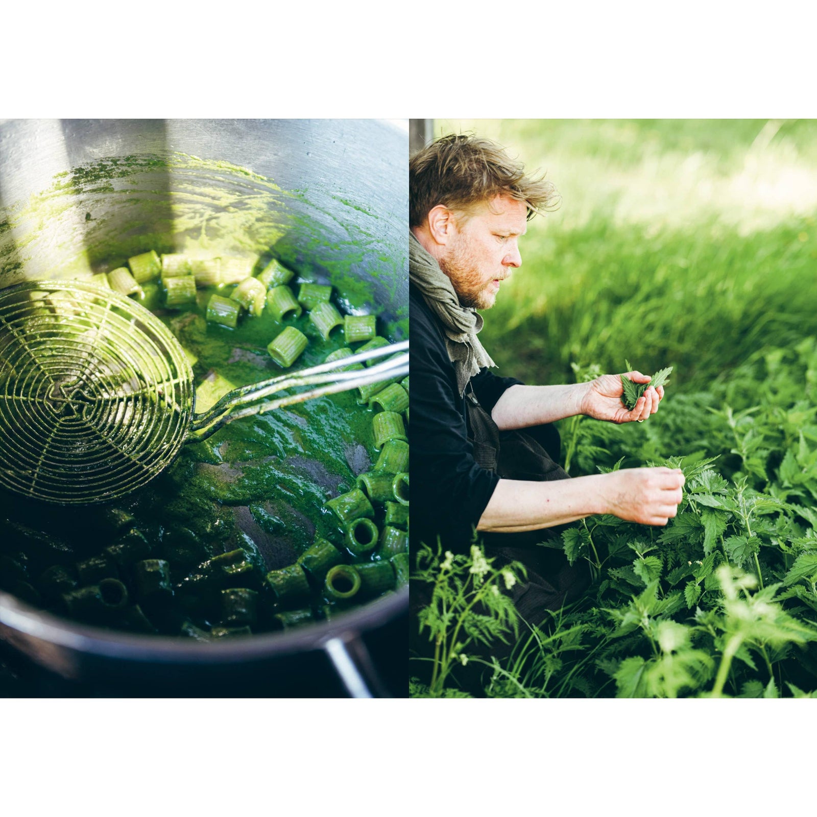 Cookbook: Chef’s Wild Nordic – Recipes for 72 Micro-Seasons Eleish Van Breems Home