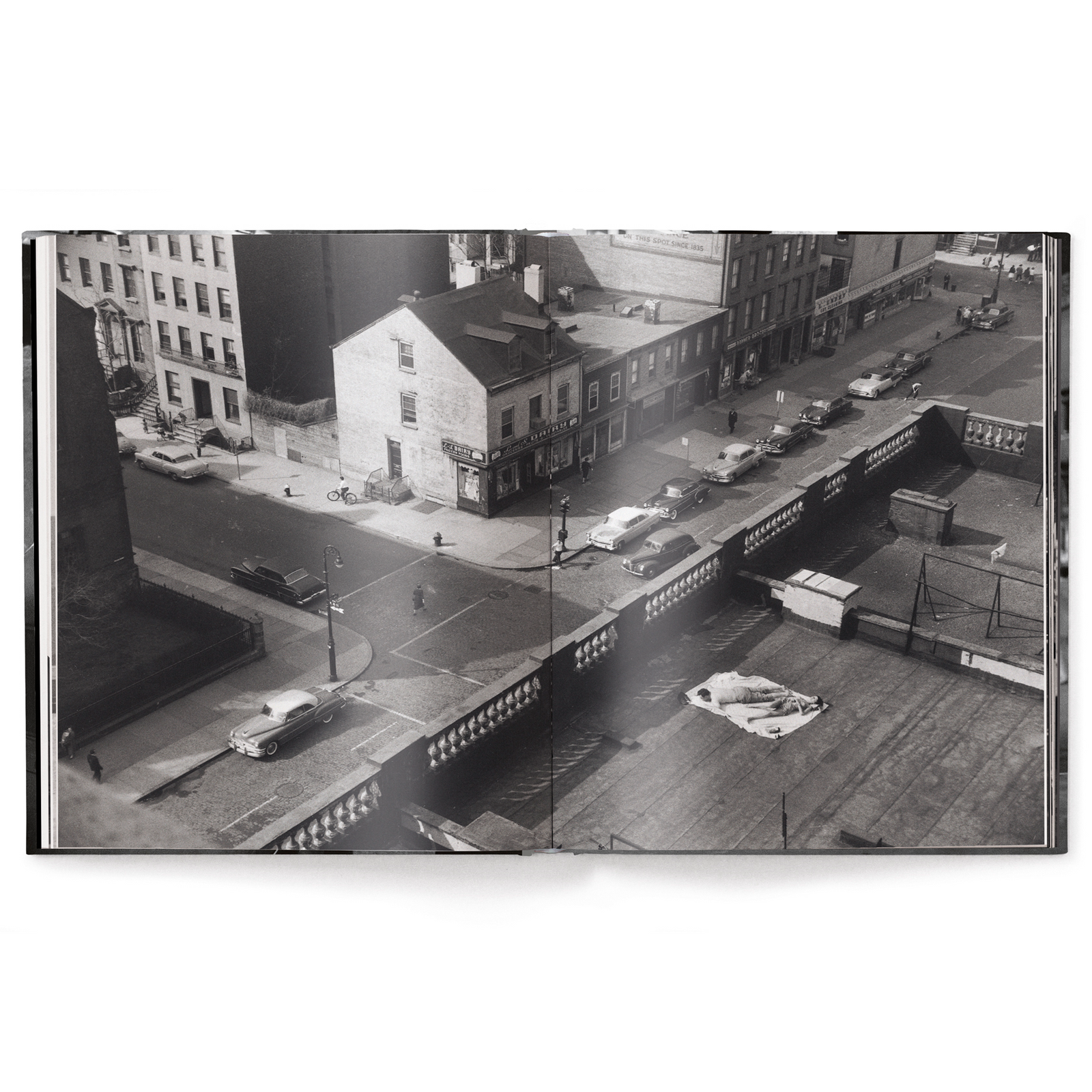 Elliott Erwitt's New York Eleish Van Breems Home