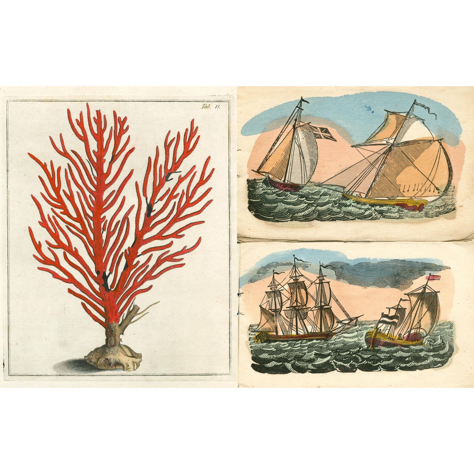 John Derian Picture Book II Eleish Van Breems Home