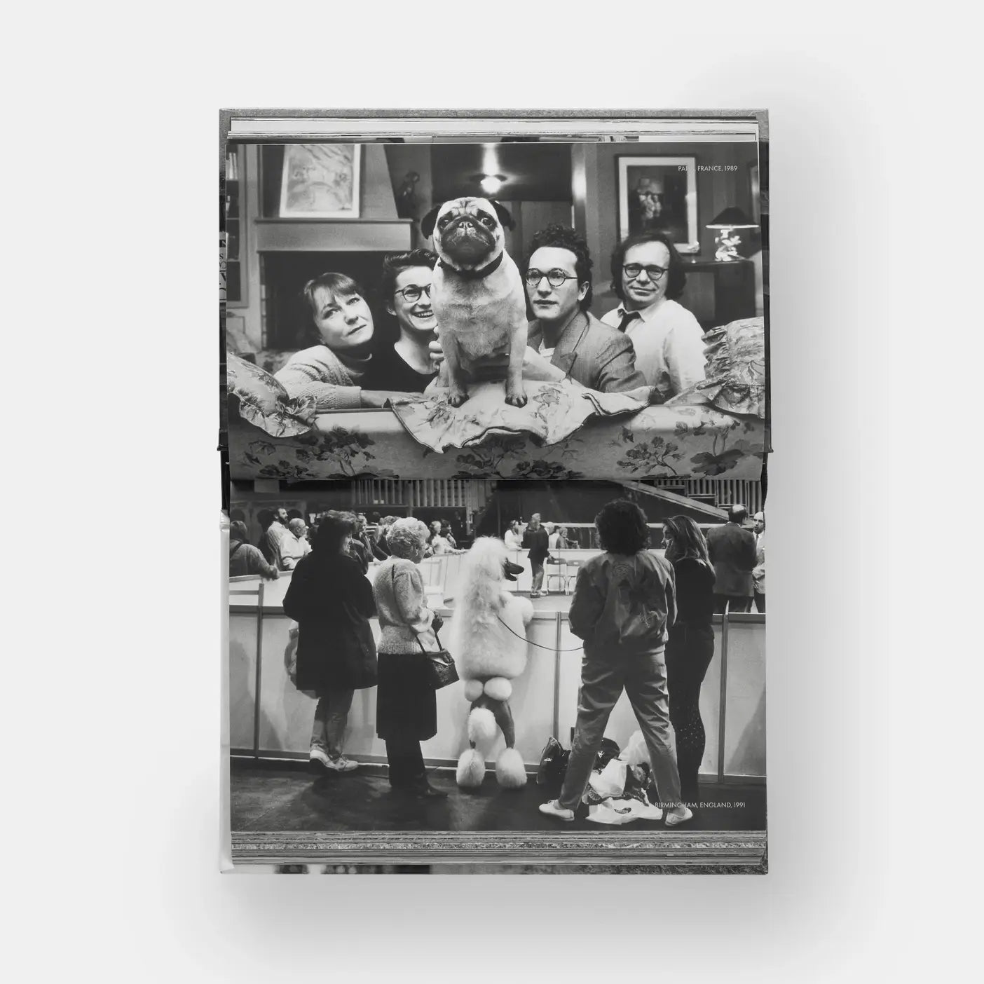 Dogdogs Eleish Van Breems Home
