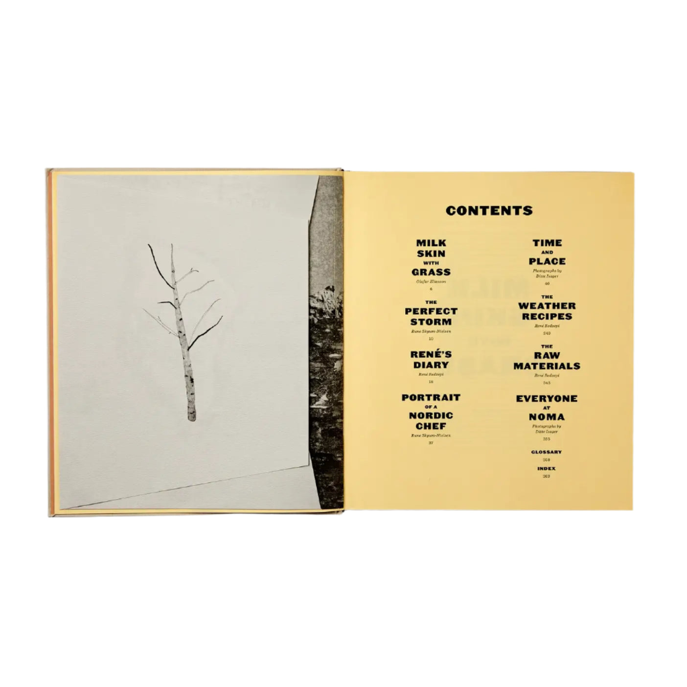 Noma: Time and Place in Nordic Cuisine Eleish Van Breems Home