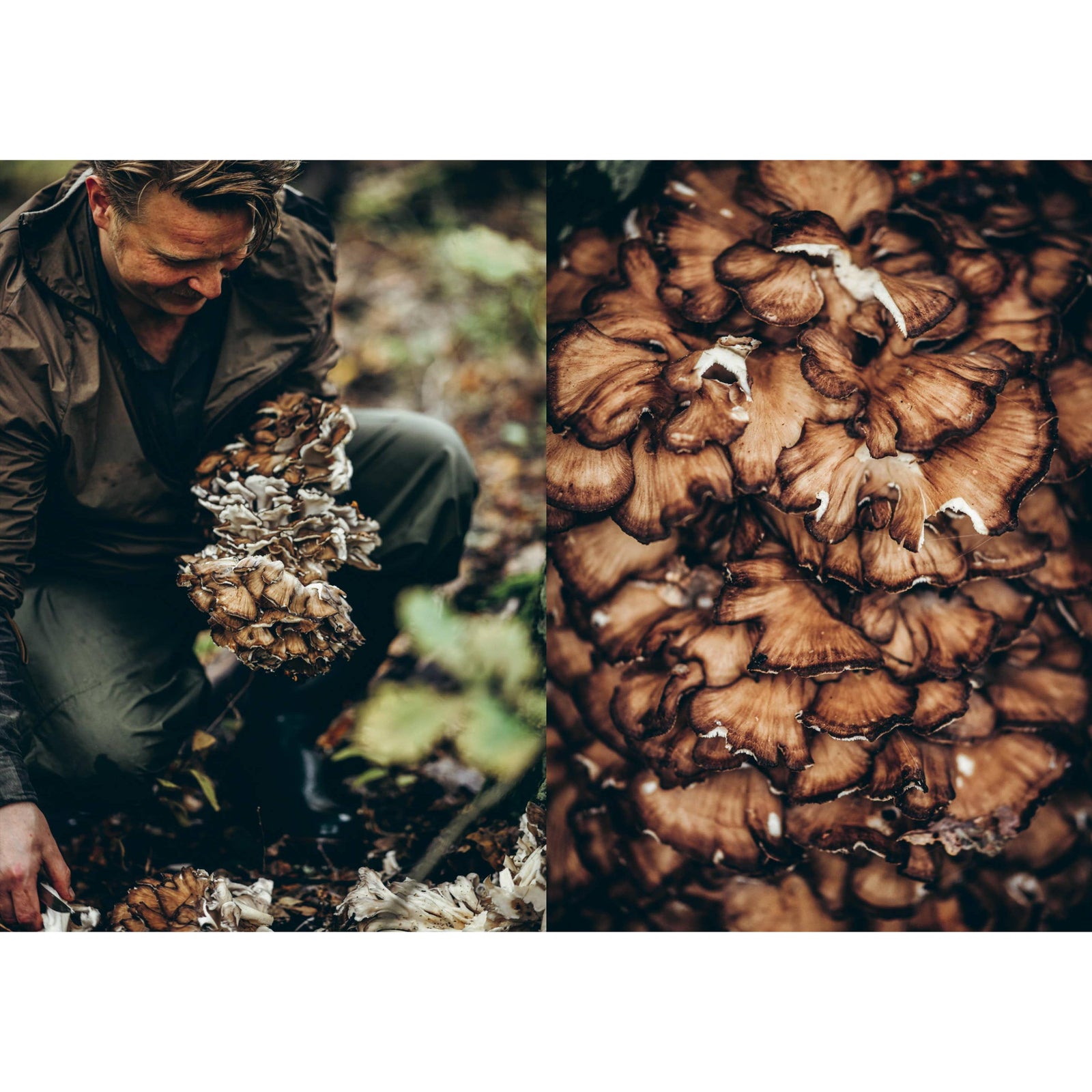 Cookbook: Chef’s Wild Nordic – Recipes for 72 Micro-Seasons Eleish Van Breems Home