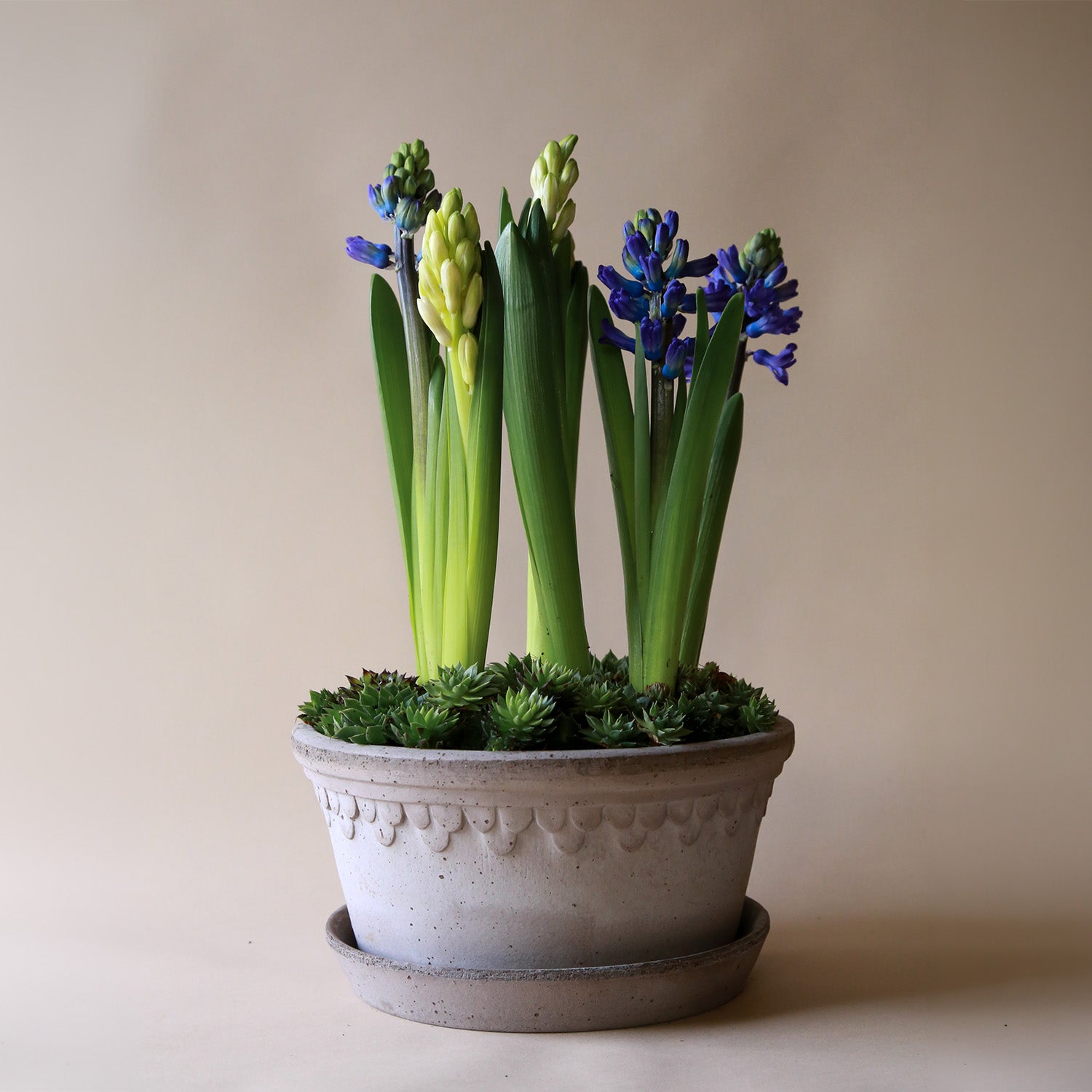 Københavner Raw Grey Terracotta Low Pot Eleish Van Breems Home