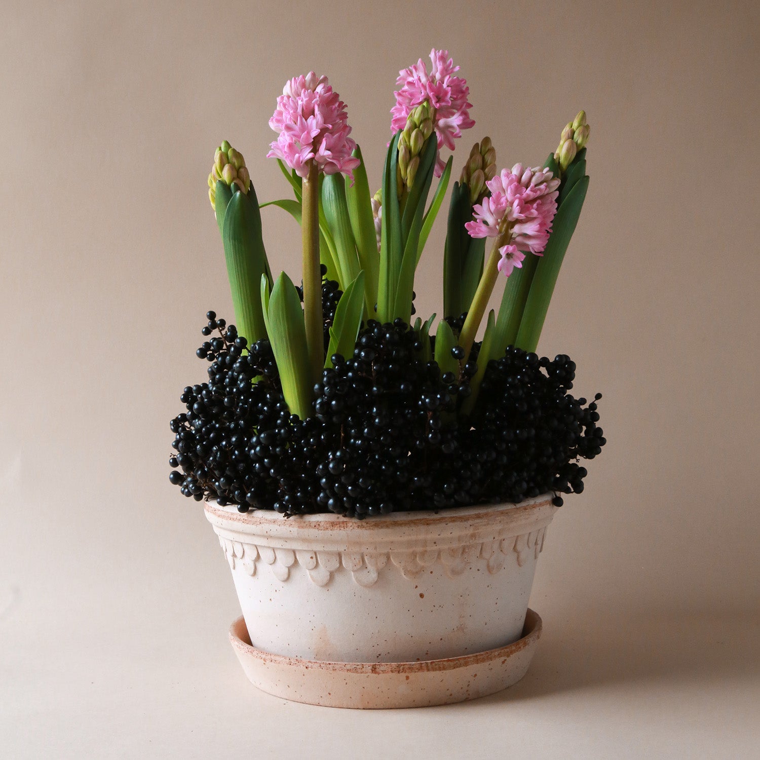 Københavner Raw Rosa Terracotta Low Pot Eleish Van Breems Home