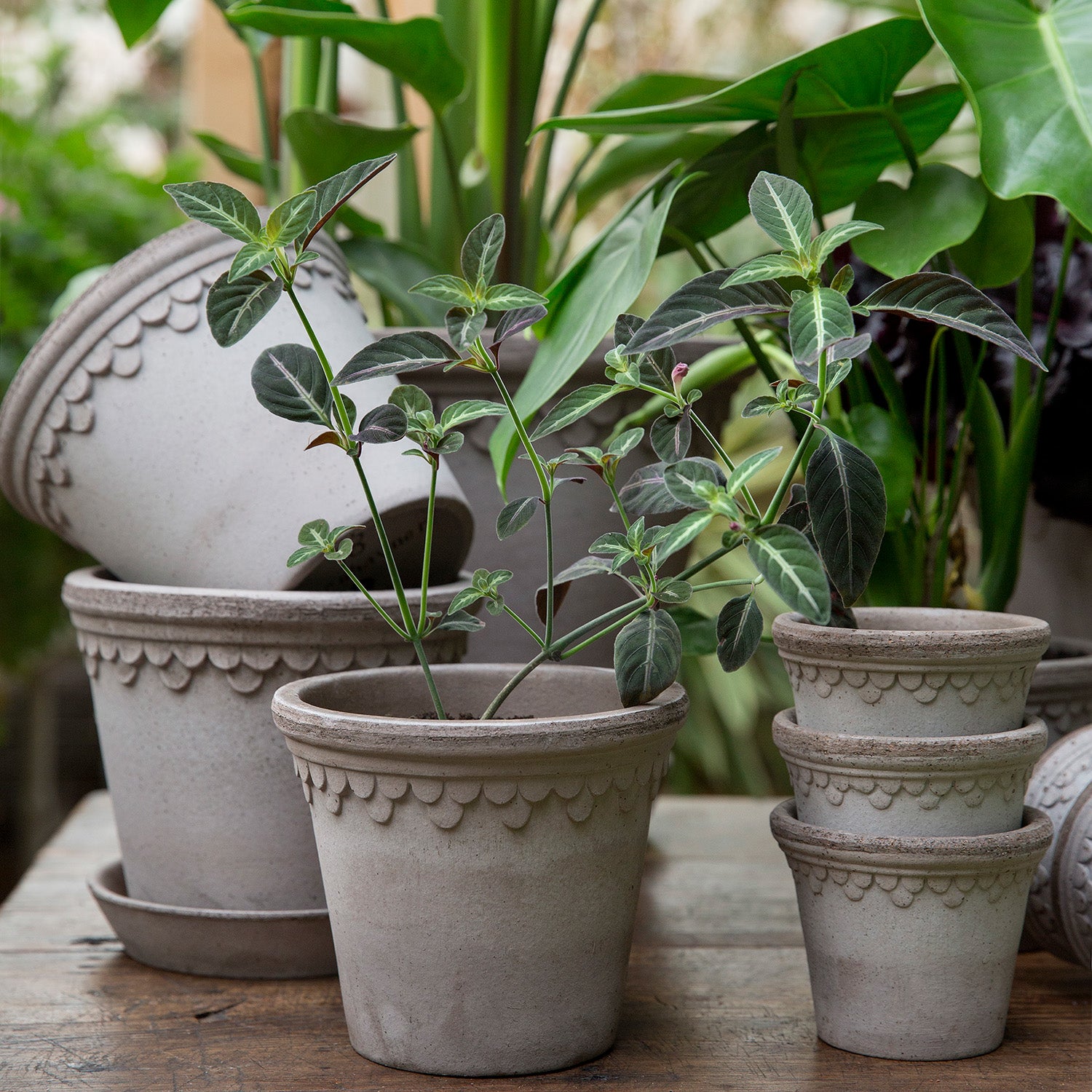 Københavner Raw Grey Terracotta Pot Eleish Van Breems Home