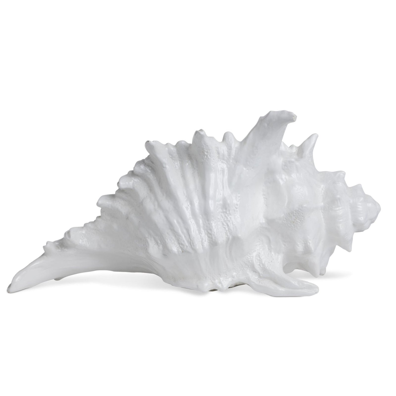 Shell Lamp Eleish Van Breems Home