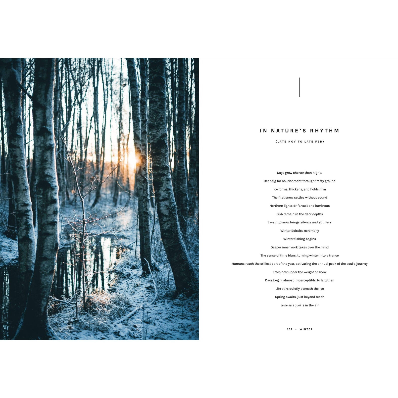 Cookbook: Chef’s Wild Nordic – Recipes for 72 Micro-Seasons Eleish Van Breems Home