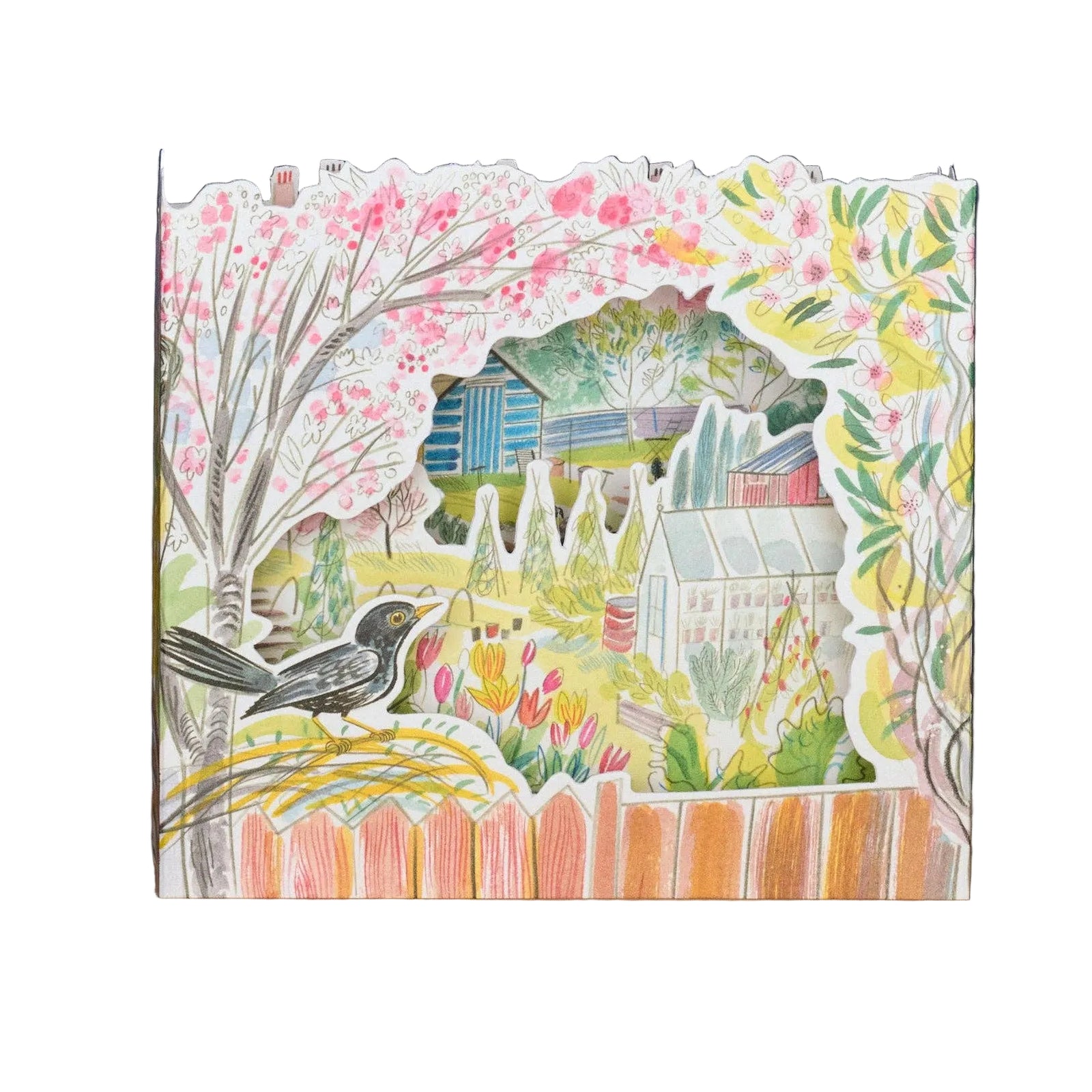 Blackbird Allotment Eleish Van Breems Home