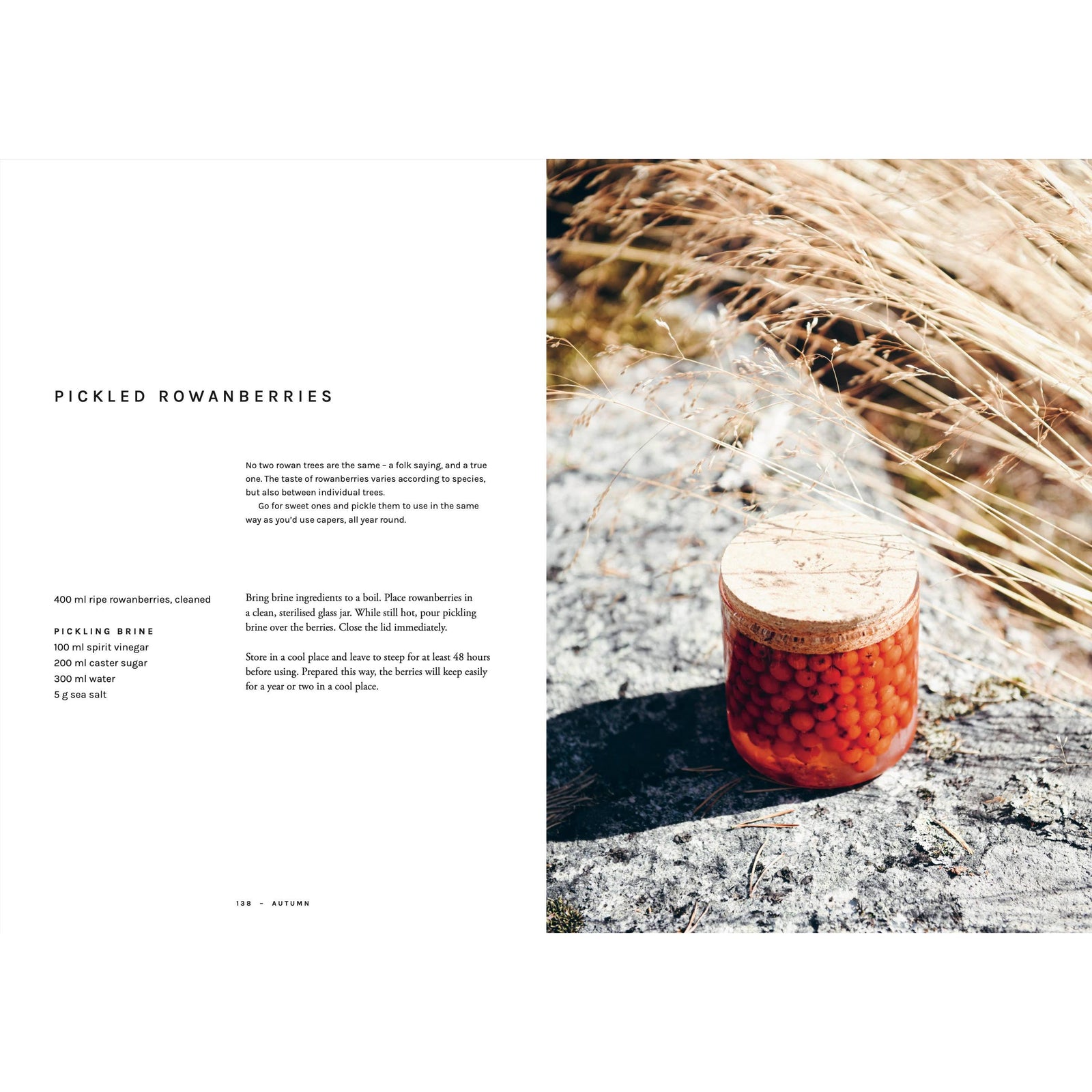 Cookbook: Chef’s Wild Nordic – Recipes for 72 Micro-Seasons Eleish Van Breems Home