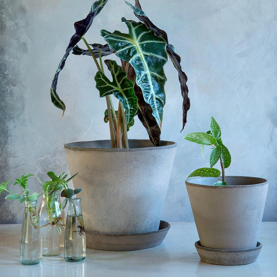 Julie Raw Edge Terracotta Pot Eleish Van Breems Home