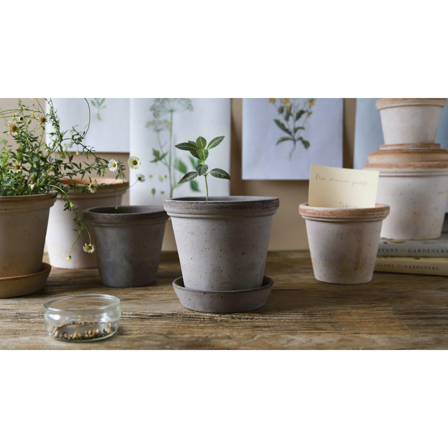 The Flora Raw Terracotta Pot Eleish Van Breems Home