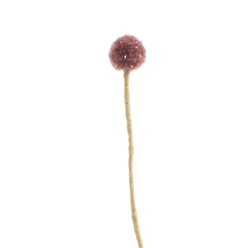 Endless Flower, Thistle Eleish Van Breems Home