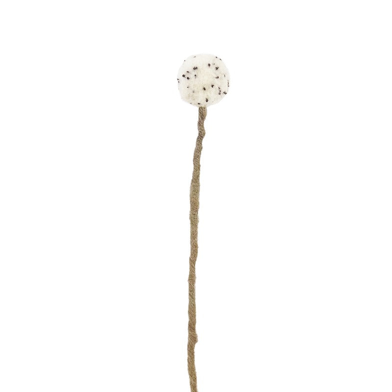 Endless Flower, Thistle Eleish Van Breems Home