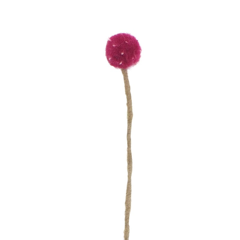 Endless Flower, Thistle Eleish Van Breems Home