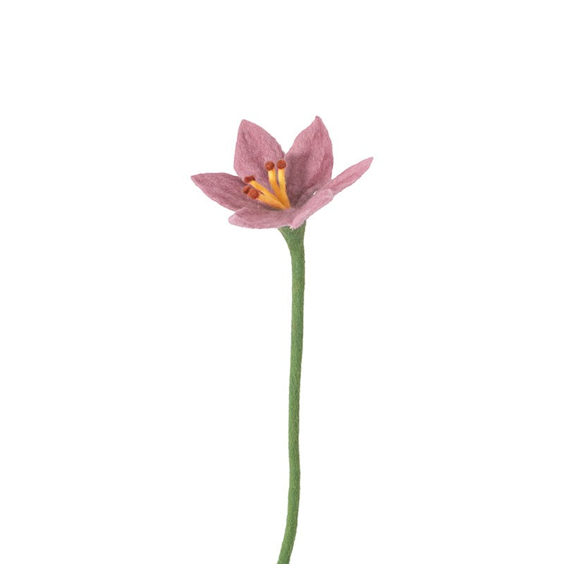 Endless Flower, Lily Eleish Van Breems Home