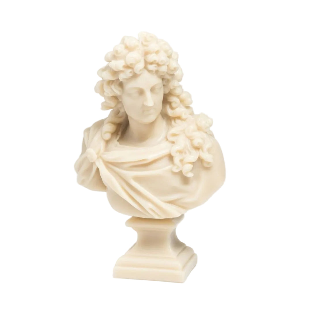 Trudon Louis XIV Bust Eleish Van Breems Home