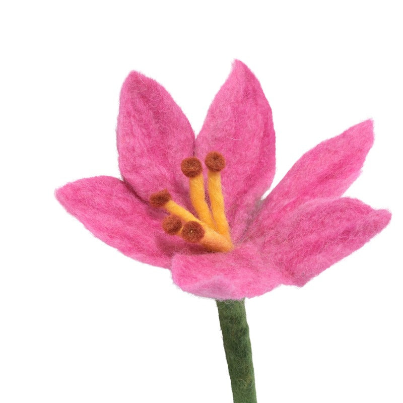 Endless Flower, Lily Eleish Van Breems Home