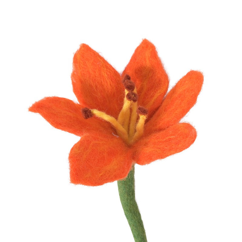Endless Flower, Lily Eleish Van Breems Home