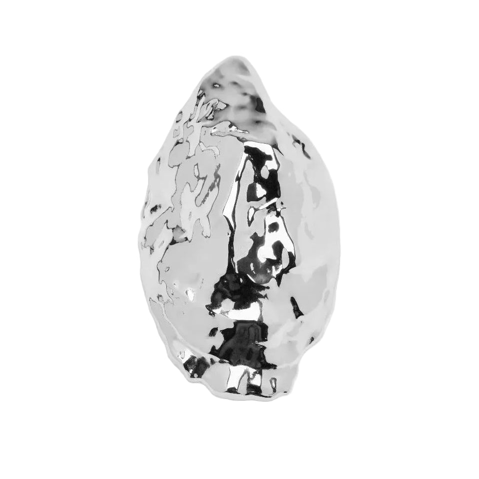 Oyster Bottle Opener Eleish Van Breems Home
