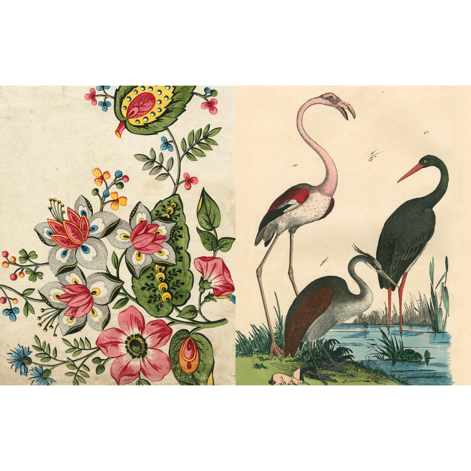 John Derian Picture Book II Eleish Van Breems Home