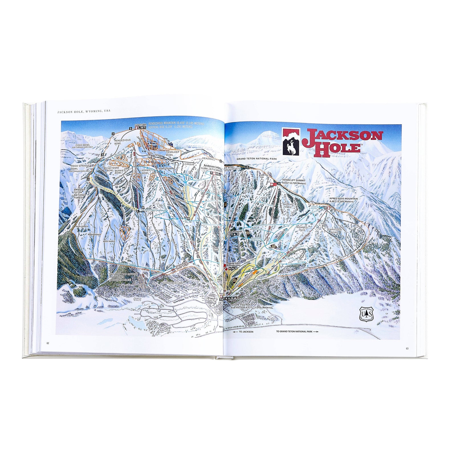 The Ultimate Ski Book Leather-Bound Eleish Van Breems Home