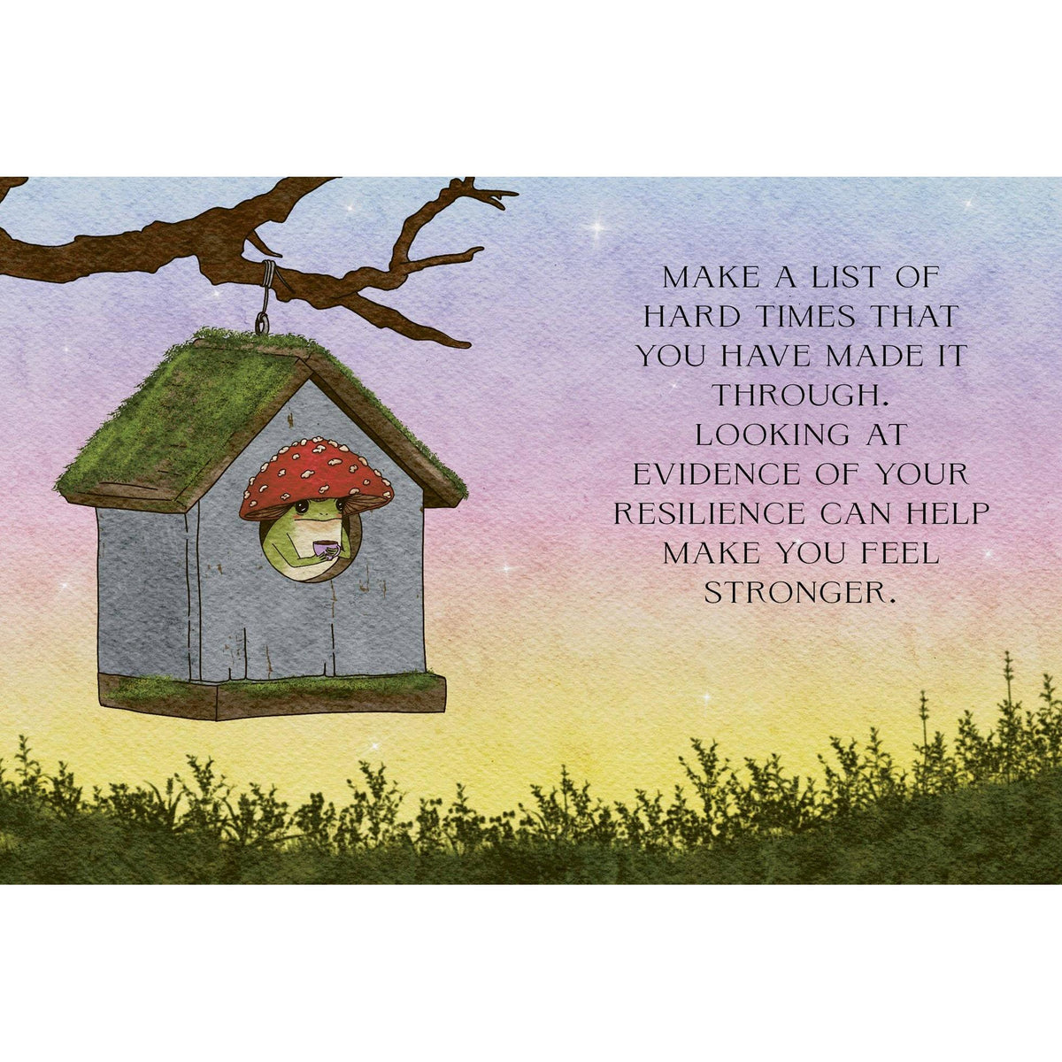 The Little Frog's Guide to Hope Eleish Van Breems Home