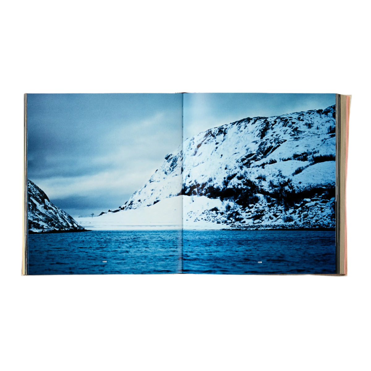 Noma: Time and Place in Nordic Cuisine Eleish Van Breems Home