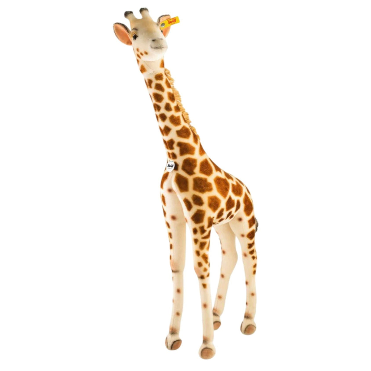 Studio Giraffe Eleish Van Breems Home