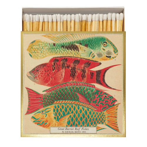 Natural History Museum Fish Square Safety Matches