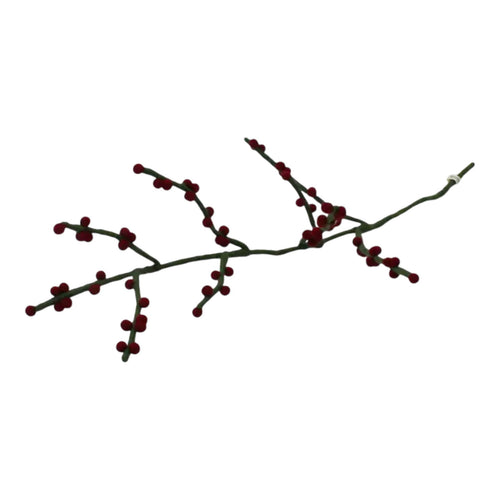 Green Branch with Dark Red Berries
