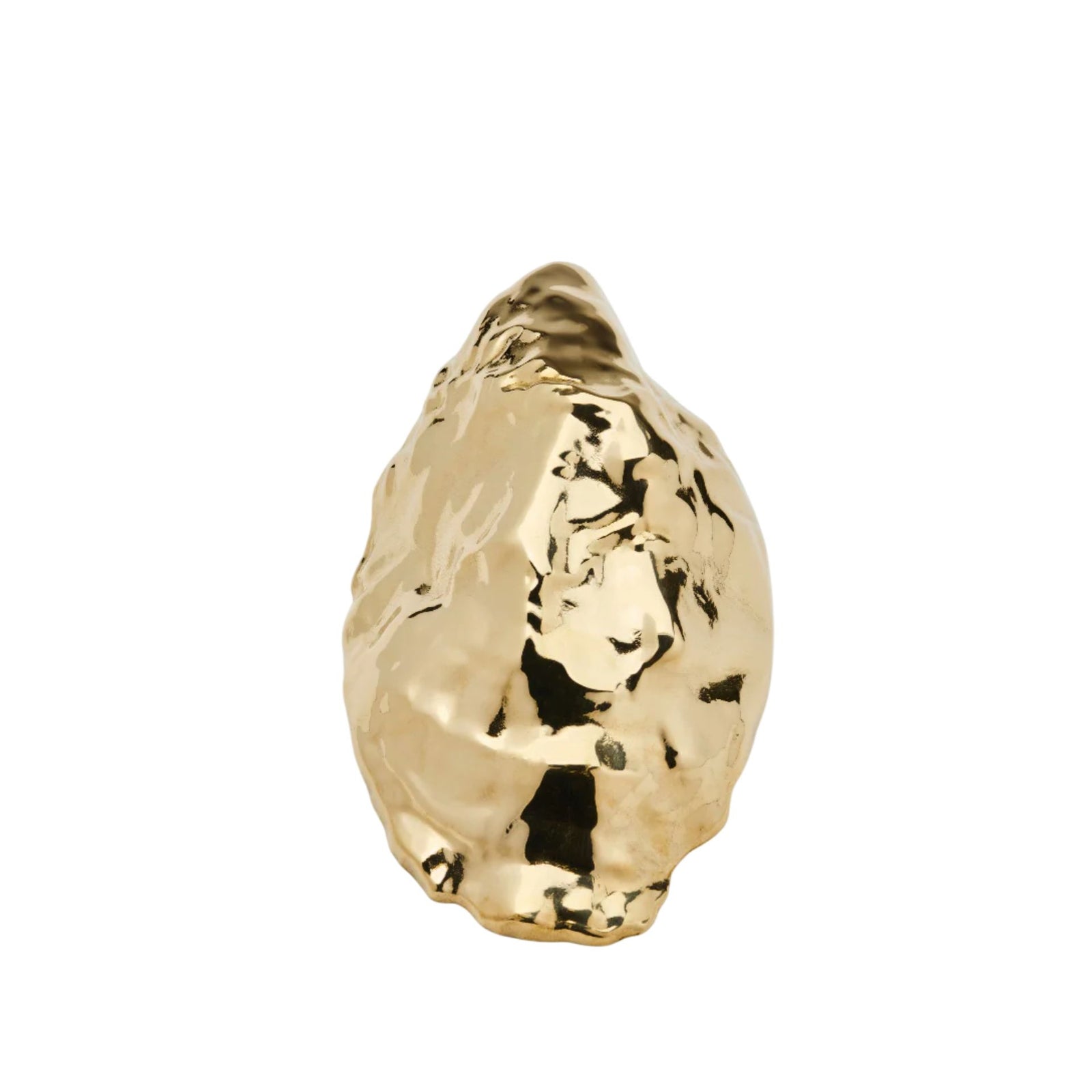 Oyster Bottle Opener Eleish Van Breems Home