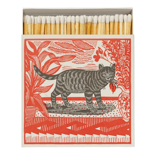 Sasha the Cat Square Safety Matches