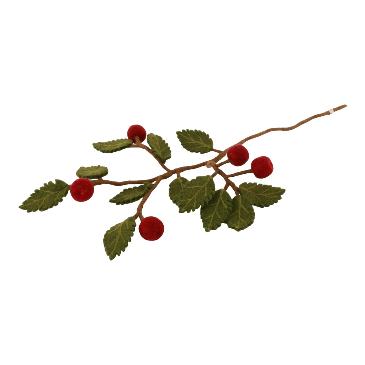 Branch with Dark Red Berries Eleish Van Breems Home