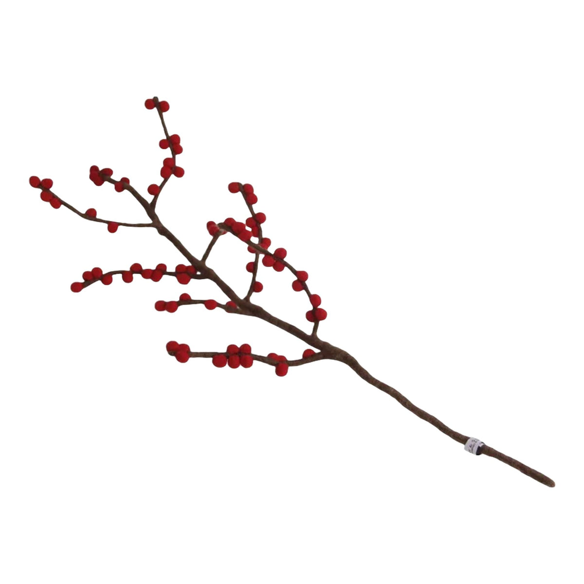 Branch With Red Berries Eleish Van Breems Home