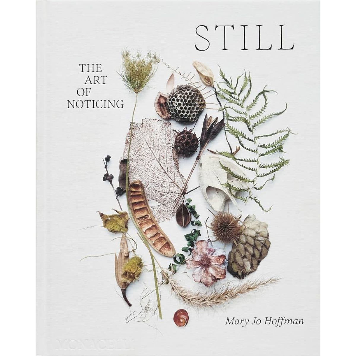 STILL: The Art Of Noticing Eleish Van Breems Home