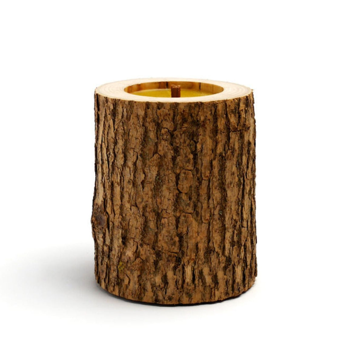 Rocky Concept 17 Candle, Coniferous Forest Eleish Van Breems Home
