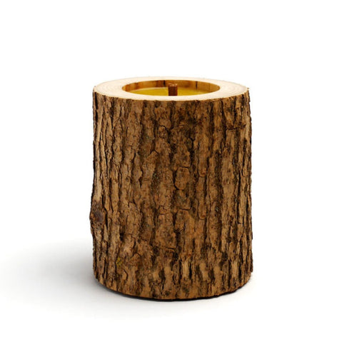 Rocky Concept 17 Candle, Coniferous Forest