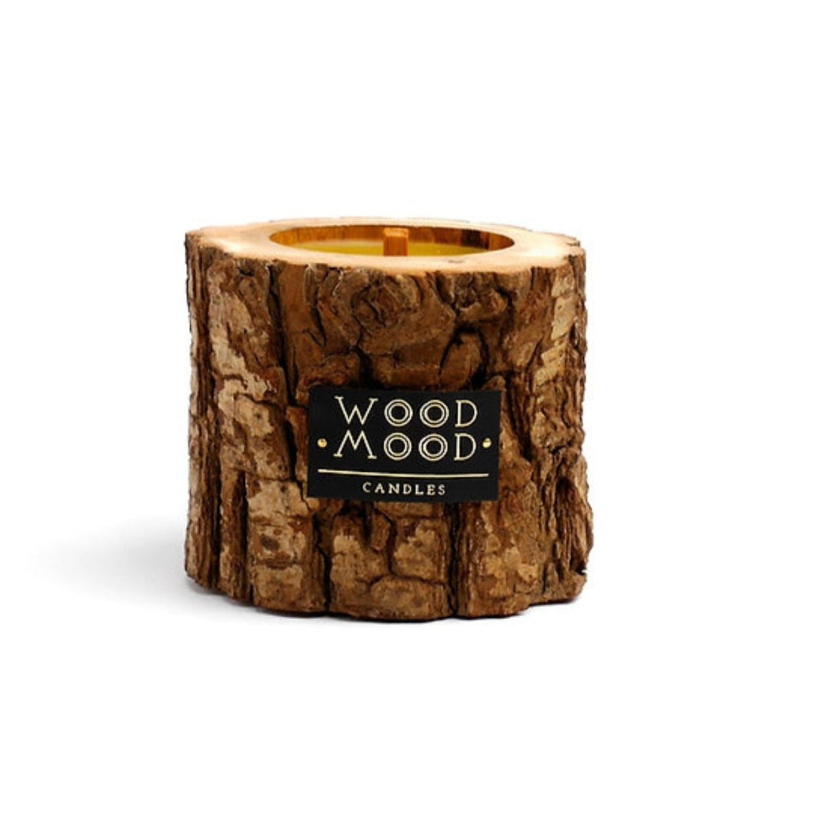 Rocky Compact Candle, Coniferous Forest Eleish Van Breems Home