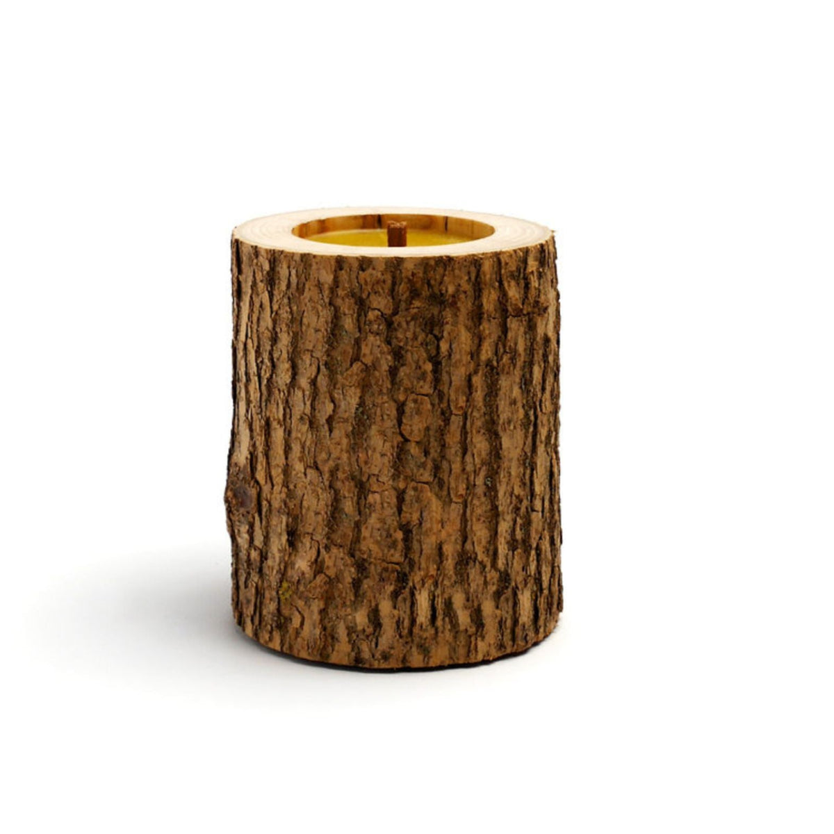 Rocky Concept 21 Candle, Coniferous Forest Eleish Van Breems Home