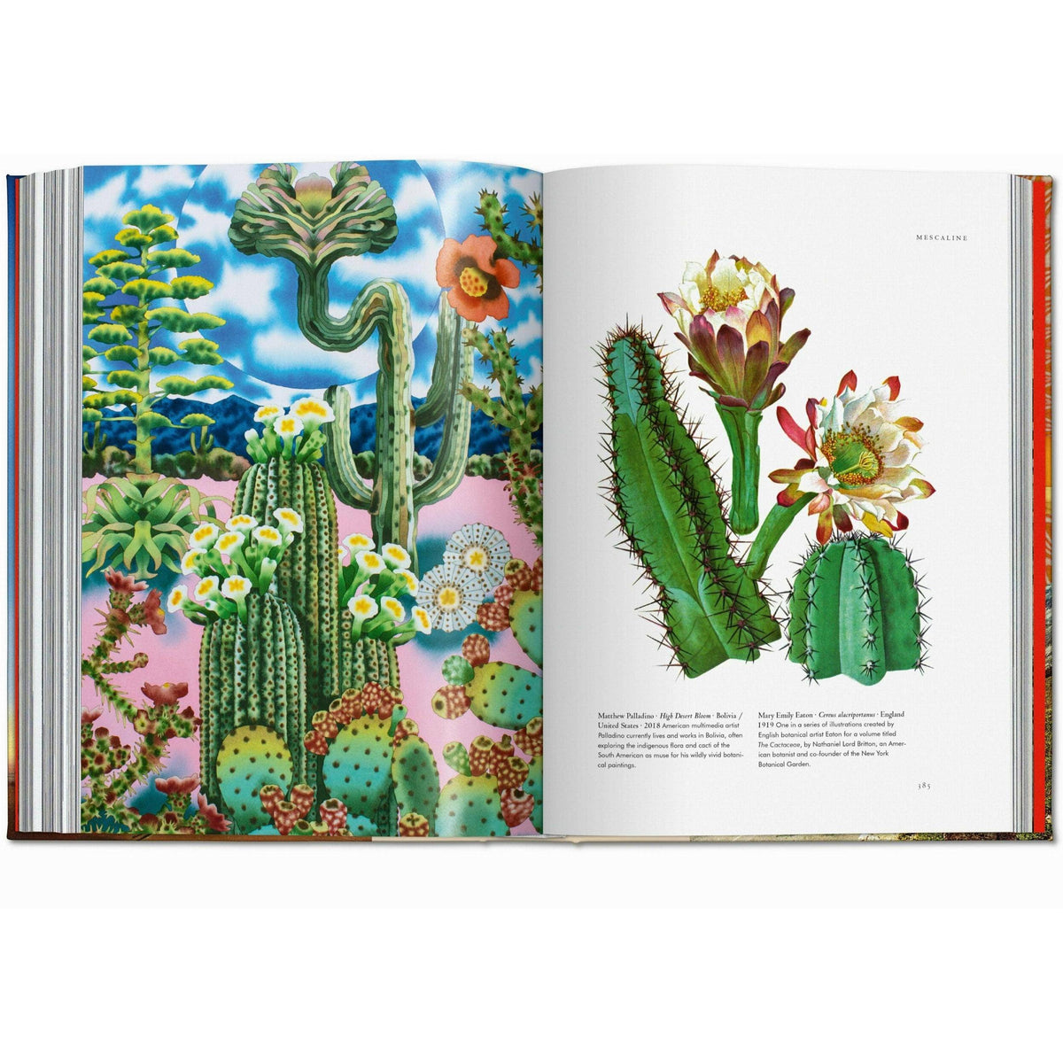 Plant Magick. The Library of Esoterica (English) Eleish Van Breems Home