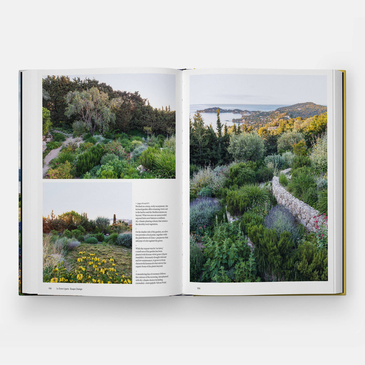 The Coastal Garden Eleish Van Breems Home