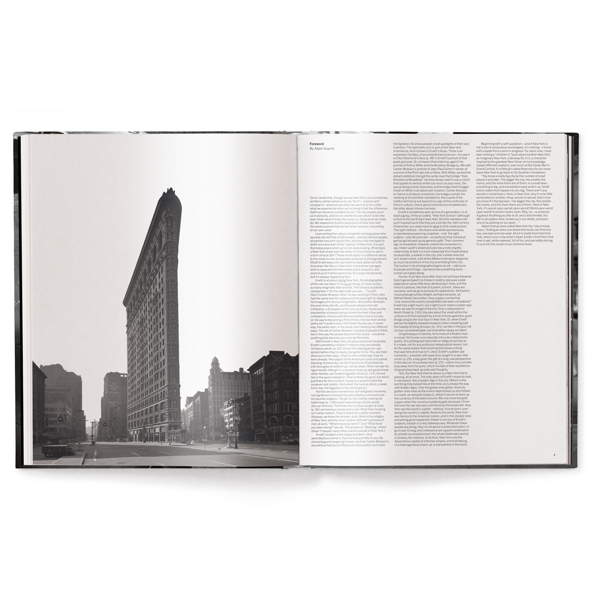 Elliott Erwitt's New York Eleish Van Breems Home