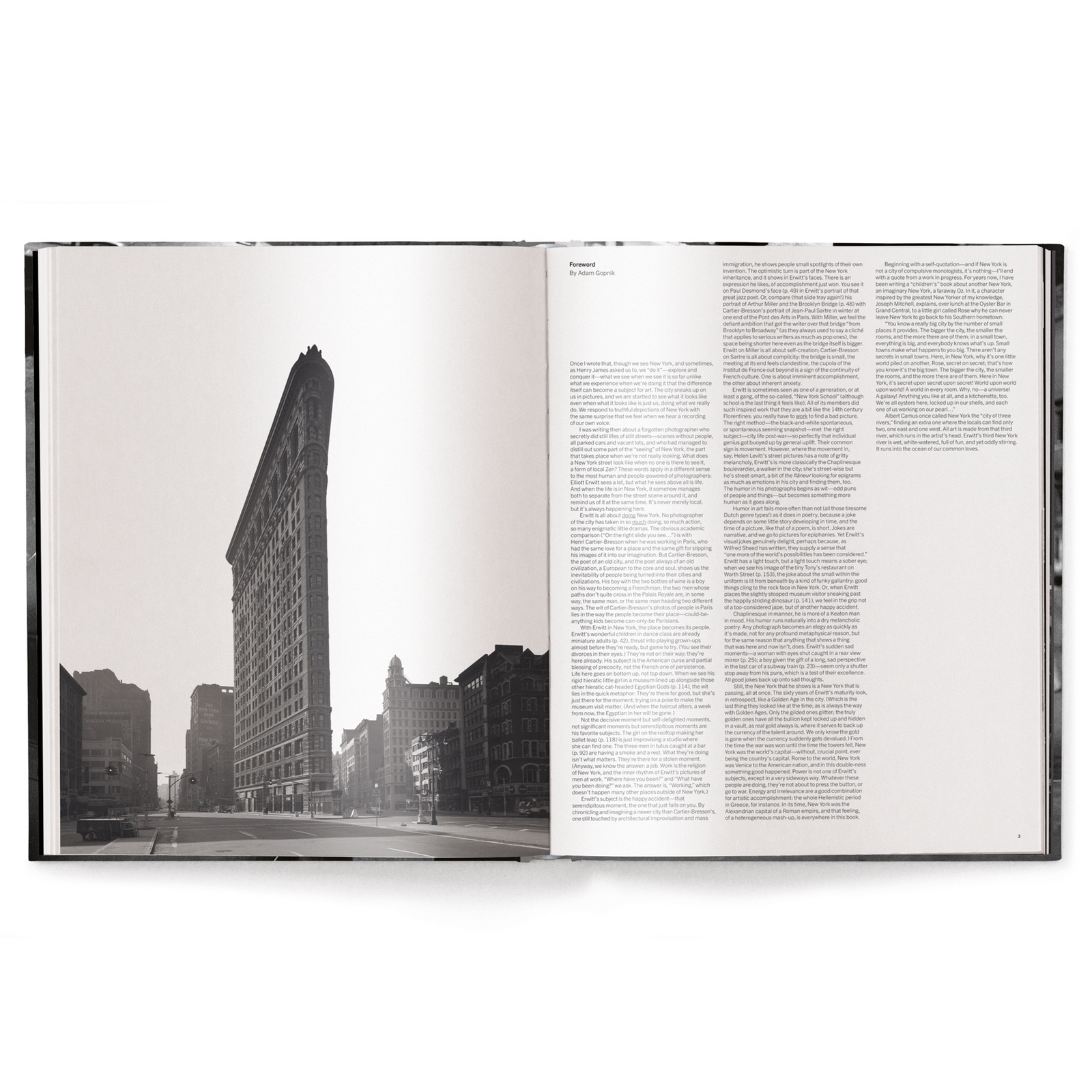 Elliott Erwitt's New York Eleish Van Breems Home