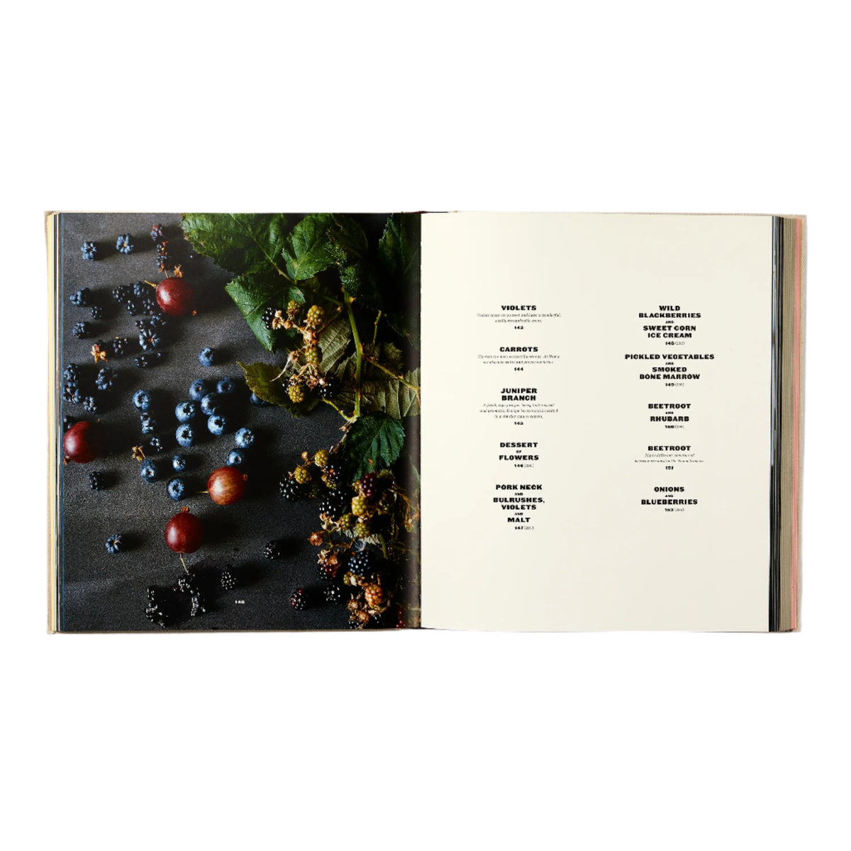 Noma: Time and Place in Nordic Cuisine Eleish Van Breems Home