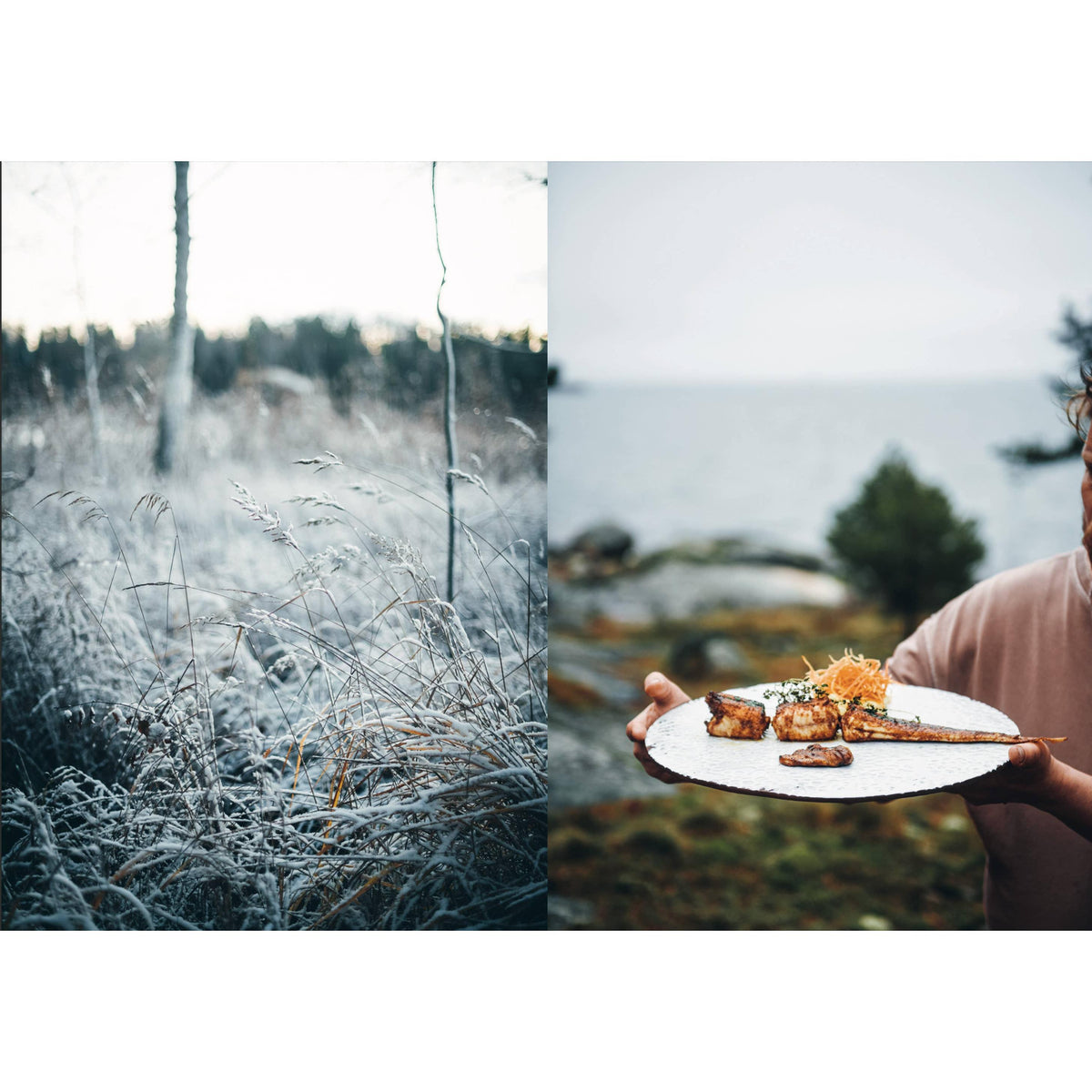 Cookbook: Chef’s Wild Nordic – Recipes for 72 Micro-Seasons Eleish Van Breems Home