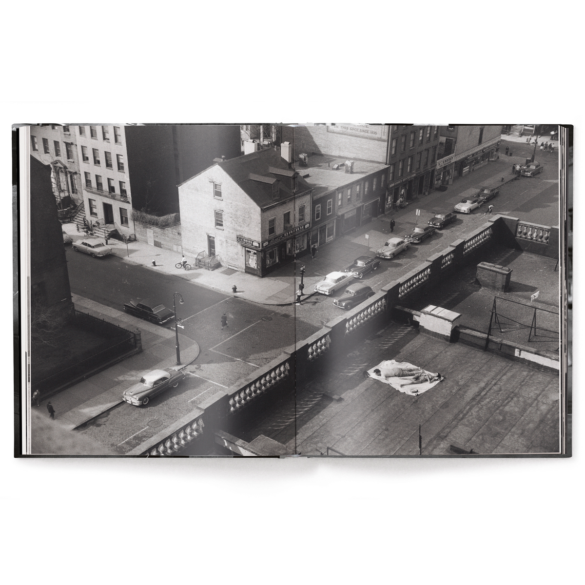 Elliott Erwitt's New York Eleish Van Breems Home