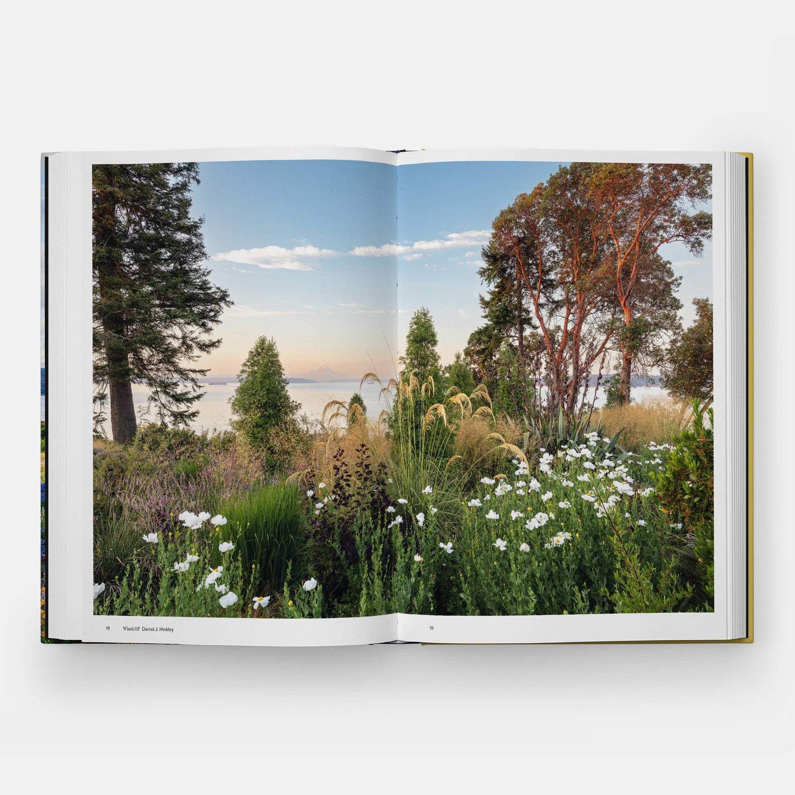 The Coastal Garden Eleish Van Breems Home